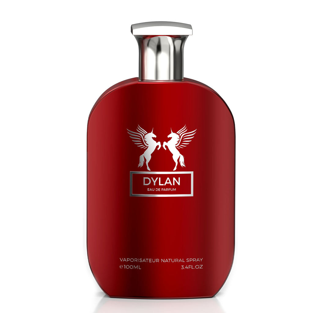 EMPER Dylan Bold Modern Unisex Eau de Parfum 100ml