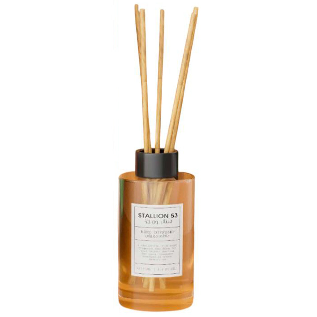 Emper Stallion 53 Premium Woody Floral Reed Diffuser Home Fragrance 100ml